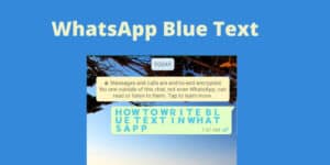 WhatsApp_Blue_Text