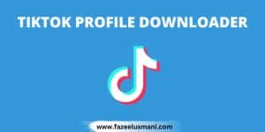 tiktok-profile-picture-downloader