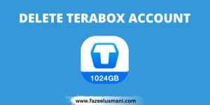 how-to-delete-terabox-account-permanently